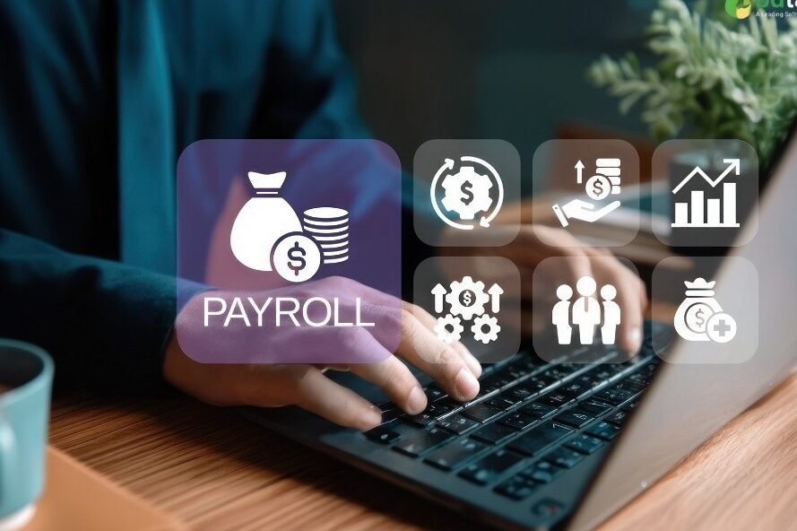 payroll software