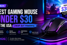Best Gaming Mouse Under $30 in the USA